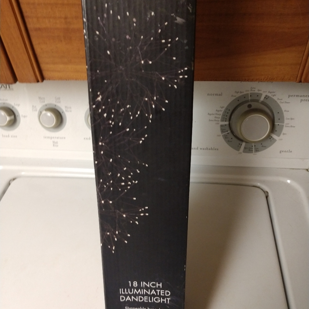 Illuminated Dandelight